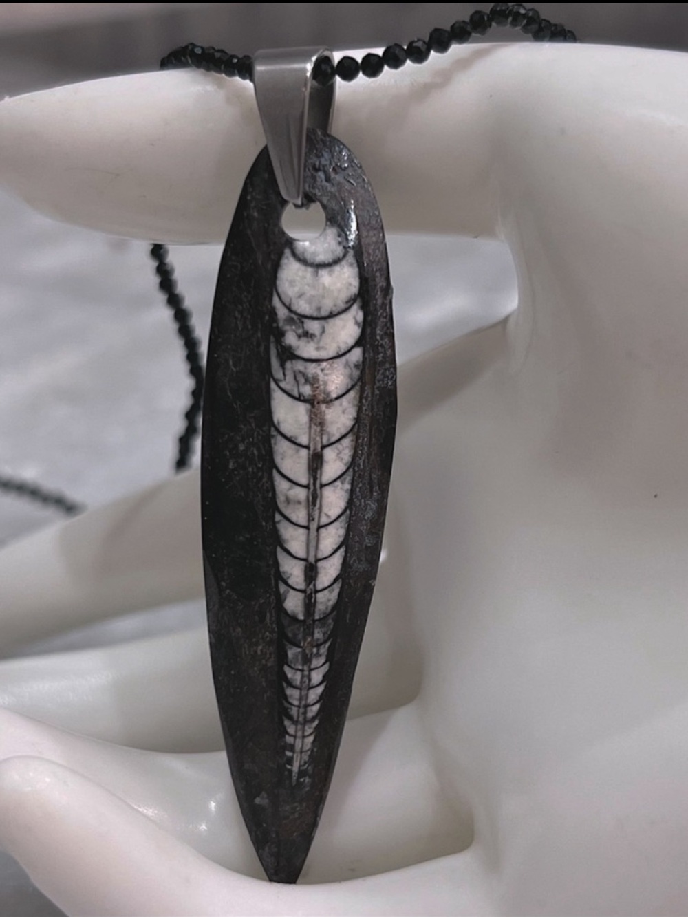 Fossil Orthoceras Silver Pendant with Thai Black Spinel Beaded 18” Necklace